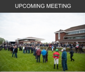 Upcoming meeting | Cork Racecourse Mallow