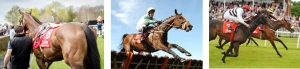 going_top | Cork Racecourse Mallow
