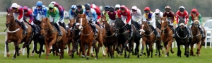 Winter Horse Racing in Cork October 17th | Cork Racecourse Mallow