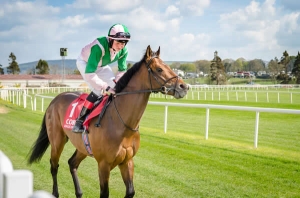 racinghome1B | Cork Racecourse Mallow