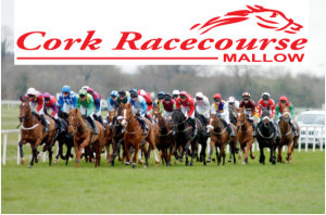 August Summer Racing | Cork Racecourse Mallow