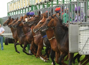 Summer Festival Day 2 | Cork Racecourse Mallow