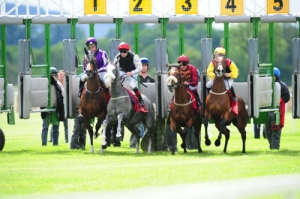 00-Cork Oaks (14615) 1 | Cork Racecourse Mallow