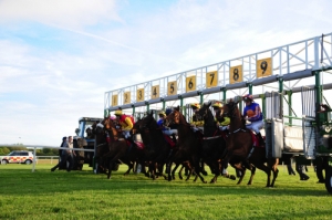 00-Stalls (22515) 3 | Cork Racecourse Mallow