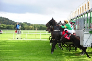 00-Stalls (24915) 2 | Cork Racecourse Mallow