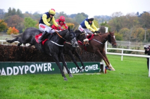 283Shadow Catcher 07 | Cork Racecourse Mallow