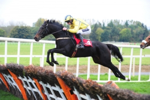 Sunday 20th November | Cork Racecourse Mallow