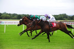 351Eshera 14 | Cork Racecourse Mallow