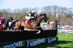 506On His Own 02 | Cork Racecourse Mallow