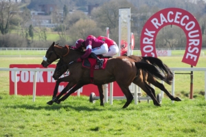 Racing Home For Easter Festival | Cork Racecourse Mallow