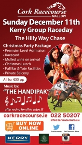 Christmas Party Package | Cork Racecourse Mallow