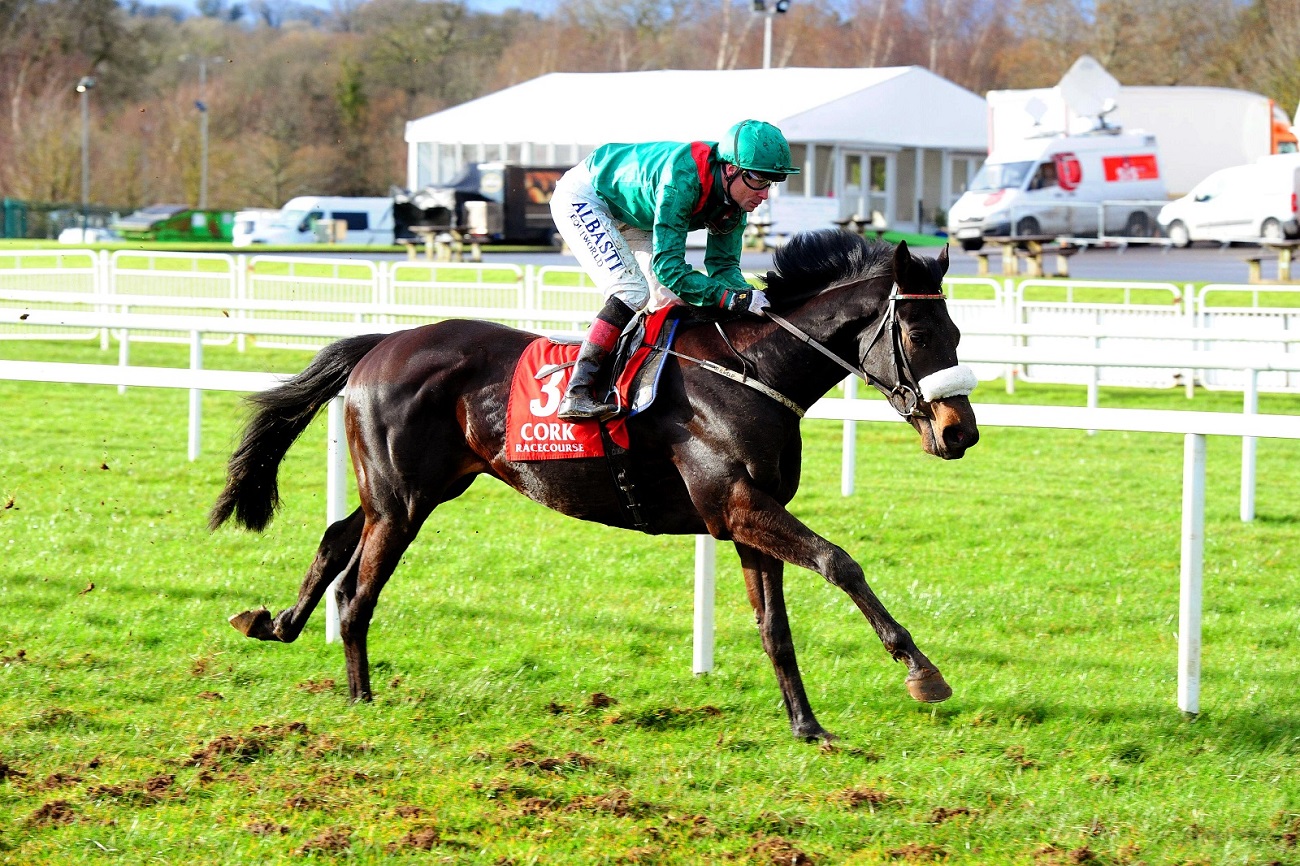 Cork Racecourse Mallow Horse Racing Cork Ireland