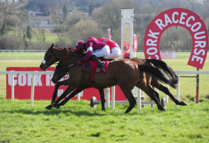 blog4 | Cork Racecourse Mallow