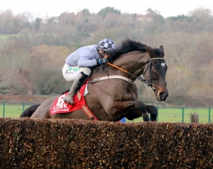 Castlegrace Paddy | Cork Racecourse Mallow