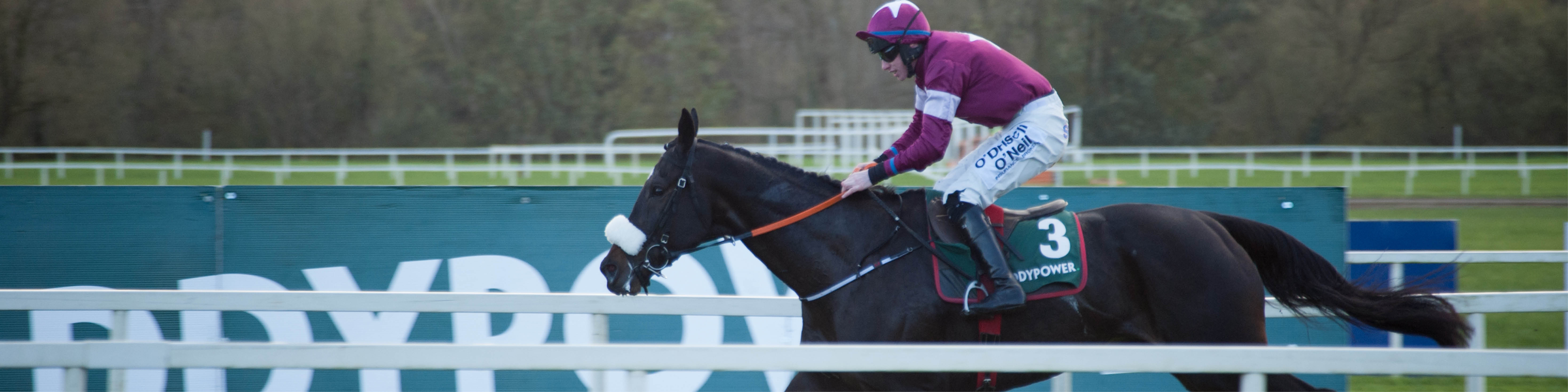 Cork Racecourse Mallow Horse Racing Cork Ireland