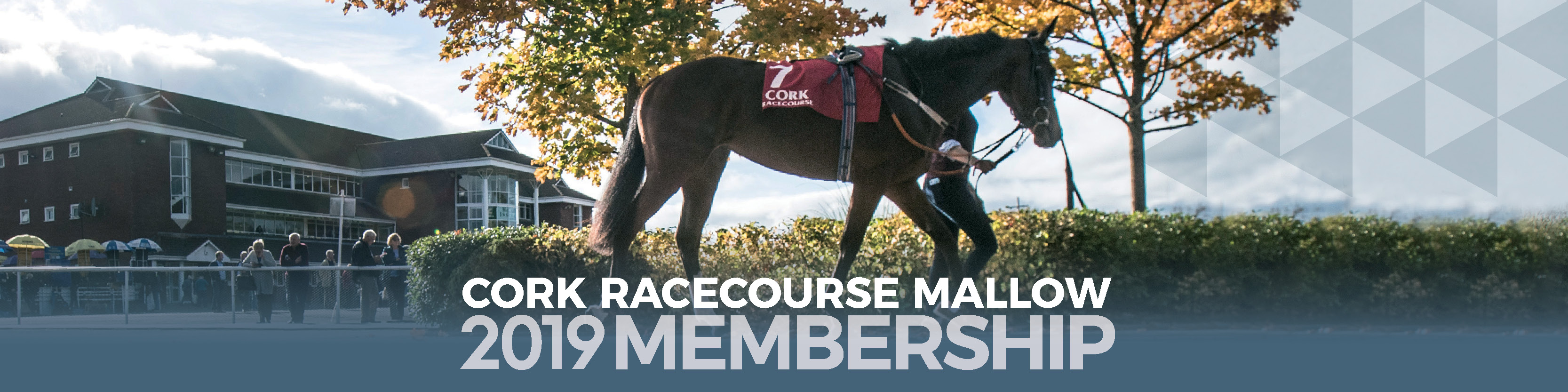 Cork Racecourse Mallow Horse Racing Cork Ireland