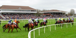 Cork 21319101 | Cork Racecourse Mallow