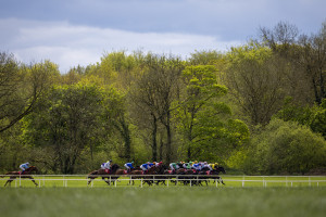 RP_ID00526623 | Cork Racecourse Mallow