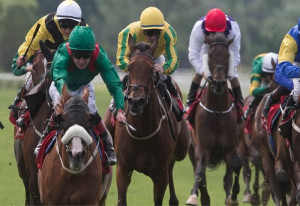 blog4 | Cork Racecourse Mallow