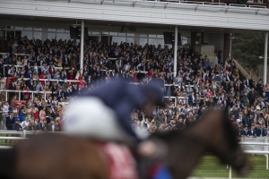 RP_ID00342402 | Cork Racecourse Mallow