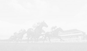 home-bg1 | Cork Racecourse Mallow