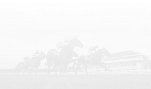 home-bg2 | Cork Racecourse Mallow