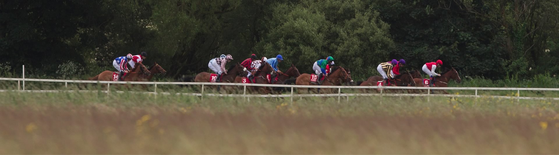 Cork Racecourse Mallow Horse Racing Cork Ireland