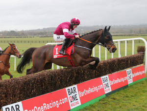 NAAS | Cork Racecourse Mallow