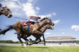 RP_ID00284711 | Cork Racecourse Mallow