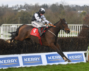 RP_ID00394964 | Cork Racecourse Mallow