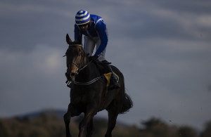 Day 3 Punchestown Festival | Cork Racecourse Mallow