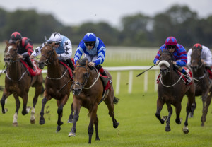 RP_ID00539259 | Cork Racecourse Mallow