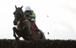 RP_ID00370295 | Cork Racecourse Mallow