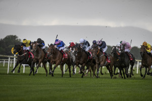 RP_ID00423617 | Cork Racecourse Mallow