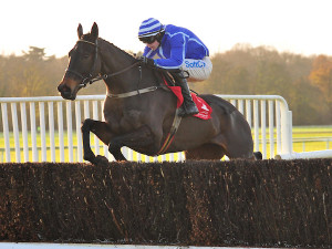 Energumene Cork 04 | Cork Racecourse Mallow