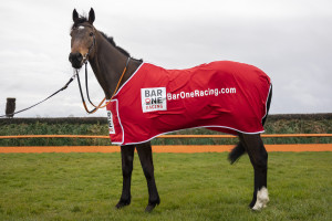 0W2A9815 copy | Cork Racecourse Mallow