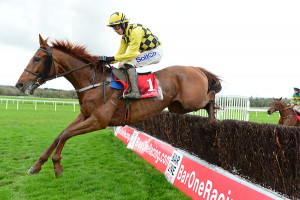 Melon Cork 04 | Cork Racecourse Mallow
