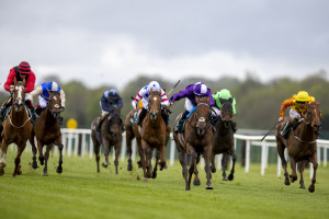 RP_ID00486241 | Cork Racecourse Mallow