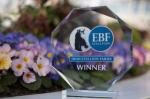 EBF TROPHY | Cork Racecourse Mallow