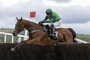 RP_ID00485392 | Cork Racecourse Mallow