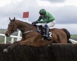 El Fabiolo the star attraction for the Bar One Racing Hilly Way Chase at Cork