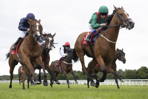 RP_ID00539295 | Cork Racecourse Mallow
