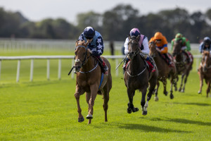 RP_ID00542168 | Cork Racecourse Mallow