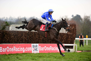 Energumene Cork 15 | Cork Racecourse Mallow