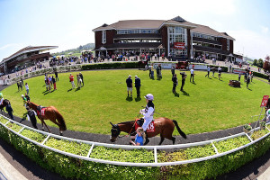 Cork 11-5-24  a view of Cork racecourse(Photo HEALY RACING) | Cork Racecourse Mallow