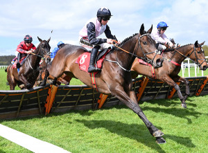 Good N' Kind Cork 06 | Cork Racecourse Mallow