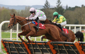 RP_ID00482615 | Cork Racecourse Mallow