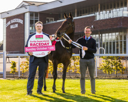 Dairygold Co-Op Superstores Renews Sponsorship of Celebrated Cork Racecourse Event